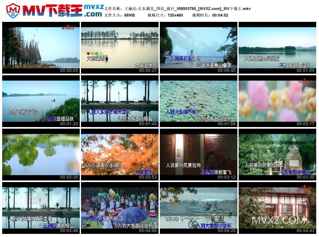 王丽达-大东湖美_国语_流行_MB503785